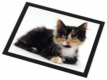 Cute Tortoiseshell Kitten Black Rim High Quality Glass Placemat