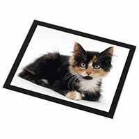 Cute Tortoiseshell Kitten Black Rim High Quality Glass Placemat