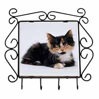 Cute Tortoiseshell Kitten Wrought Iron Key Holder Hooks