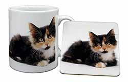 Cute Tortoiseshell Kitten Mug and Coaster Set