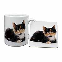 Cute Tortoiseshell Kitten Mug and Coaster Set