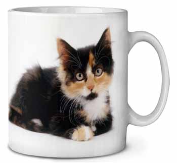 Cute Tortoiseshell Kitten Ceramic 10oz Coffee Mug/Tea Cup