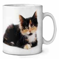 Cute Tortoiseshell Kitten Ceramic 10oz Coffee Mug/Tea Cup