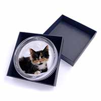 Cute Tortoiseshell Kitten Glass Paperweight in Gift Box