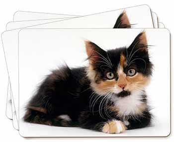 Cute Tortoiseshell Kitten Picture Placemats in Gift Box