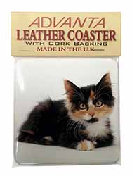 Cute Tortoiseshell Kitten Single Leather Photo Coaster