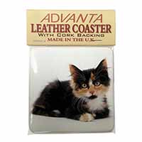 Cute Tortoiseshell Kitten Single Leather Photo Coaster