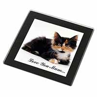 Cute Tortie Kitten 