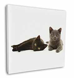 Black+Blue Kittens Square Canvas 12"x12" Wall Art Picture Print