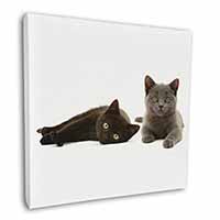 Black+Blue Kittens Square Canvas 12"x12" Wall Art Picture Print