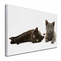 Black+Blue Kittens Canvas X-Large 30"x20" Wall Art Print