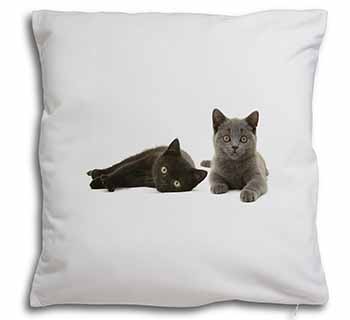 Black+Blue Kittens Soft White Velvet Feel Scatter Cushion