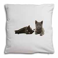 Black+Blue Kittens Soft White Velvet Feel Scatter Cushion