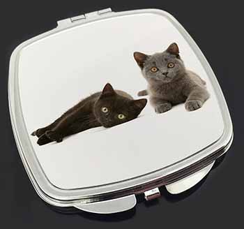 Black+Blue Kittens Make-Up Compact Mirror