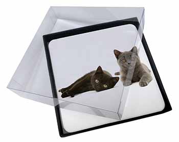 4x Black+Blue Kittens Picture Table Coasters Set in Gift Box