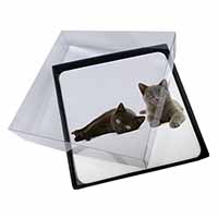 4x Black+Blue Kittens Picture Table Coasters Set in Gift Box