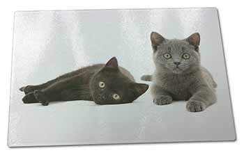 Large Glass Cutting Chopping Board Black+Blue Kittens