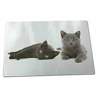 Large Glass Cutting Chopping Board Black+Blue Kittens