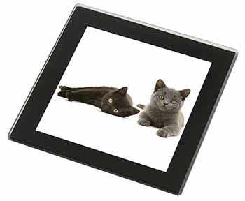 Black+Blue Kittens Black Rim High Quality Glass Coaster