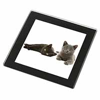 Black+Blue Kittens Black Rim High Quality Glass Coaster