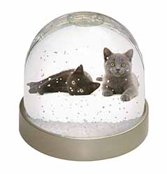 Black+Blue Kittens Snow Globe Photo Waterball