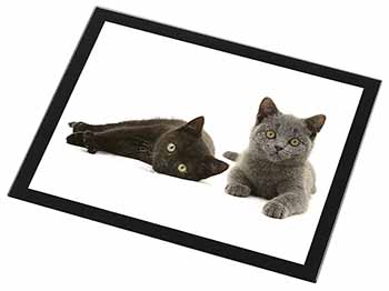 Black+Blue Kittens Black Rim High Quality Glass Placemat