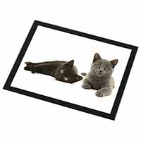 Black+Blue Kittens Black Rim High Quality Glass Placemat