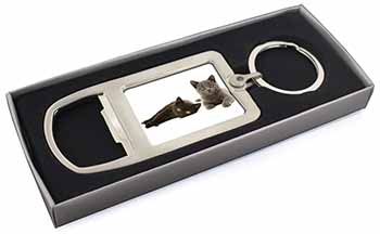 Black+Blue Kittens Chrome Metal Bottle Opener Keyring in Box