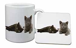 Black+Blue Kittens Mug and Coaster Set