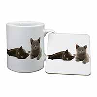 Black+Blue Kittens Mug and Coaster Set