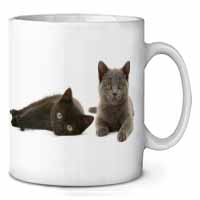 Black+Blue Kittens Ceramic 10oz Coffee Mug/Tea Cup