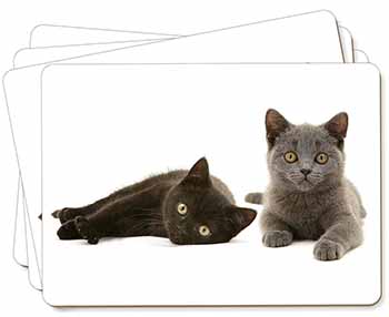 Black+Blue Kittens Picture Placemats in Gift Box