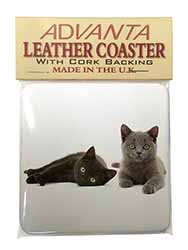 Black+Blue Kittens Single Leather Photo Coaster