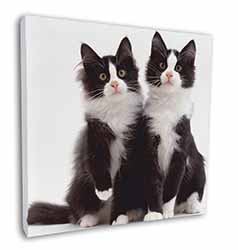 Black and White Cats Square Canvas 12"x12" Wall Art Picture Print