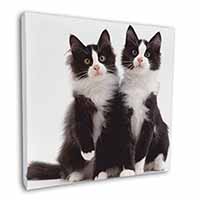Black and White Cats Square Canvas 12"x12" Wall Art Picture Print