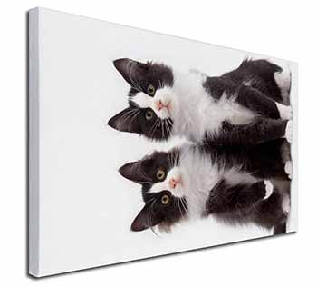 Black and White Cats Canvas X-Large 30"x20" Wall Art Print