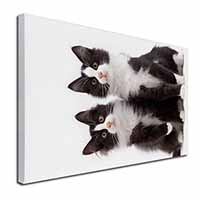 Black and White Cats Canvas X-Large 30"x20" Wall Art Print