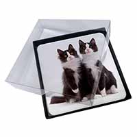 4x Black and White Cats Picture Table Coasters Set in Gift Box