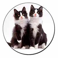 Black and White Cats Fridge Magnet Printed Full Colour