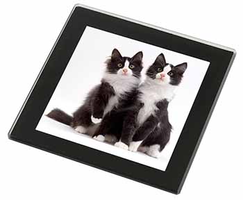Black and White Cats Black Rim High Quality Glass Coaster
