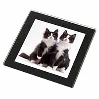 Black and White Cats Black Rim High Quality Glass Coaster