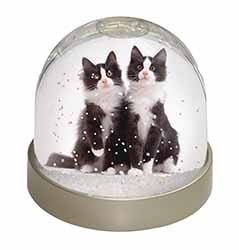 Black and White Cats Snow Globe Photo Waterball