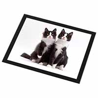 Black and White Cats Black Rim High Quality Glass Placemat