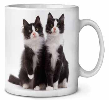Black and White Cats Ceramic 10oz Coffee Mug/Tea Cup