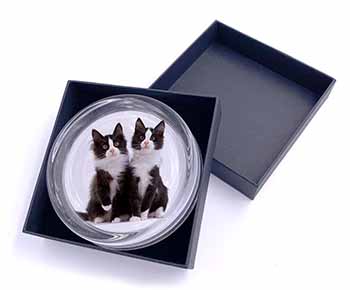 Black and White Cats Glass Paperweight in Gift Box