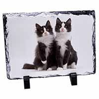 Black and White Cats, Stunning Photo Slate