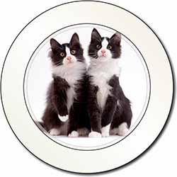 Black and White Cats Car or Van Permit Holder/Tax Disc Holder