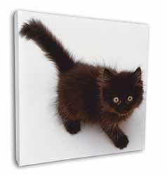 Chocolate Black Kitten Square Canvas 12"x12" Wall Art Picture Print