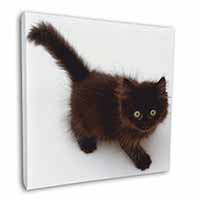 Chocolate Black Kitten Square Canvas 12"x12" Wall Art Picture Print