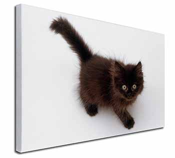 Chocolate Black Kitten Canvas X-Large 30"x20" Wall Art Print